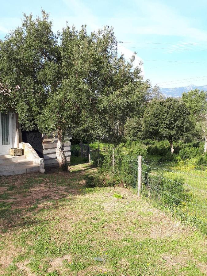 Casa Gattu Villa Porto-Vecchio  Luaran gambar