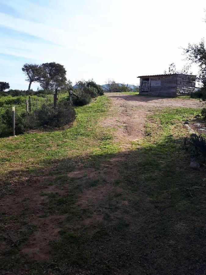 Casa Gattu Villa Porto-Vecchio  Luaran gambar