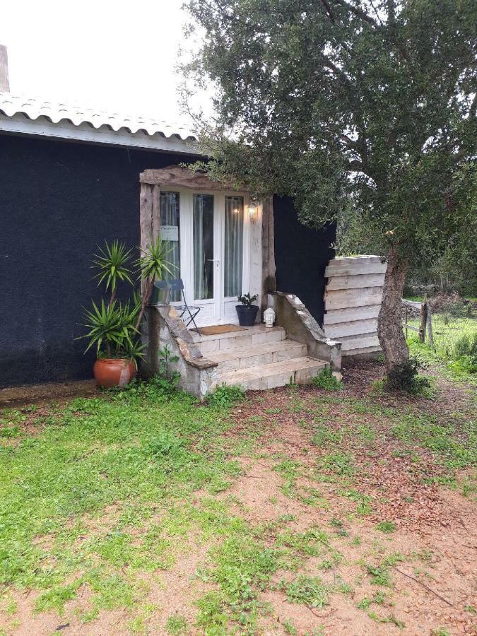 Casa Gattu Villa Porto-Vecchio  Luaran gambar