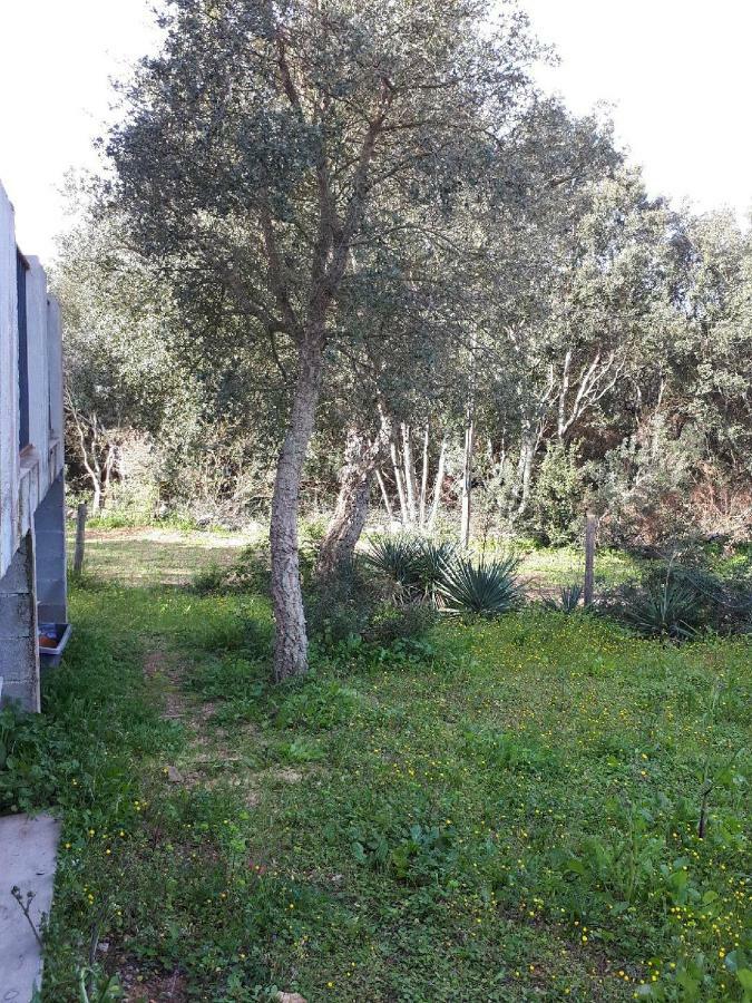Casa Gattu Villa Porto-Vecchio  Luaran gambar