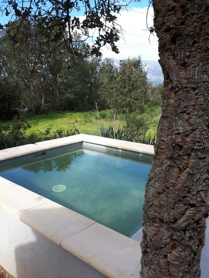 Casa Gattu Villa Porto-Vecchio  Luaran gambar